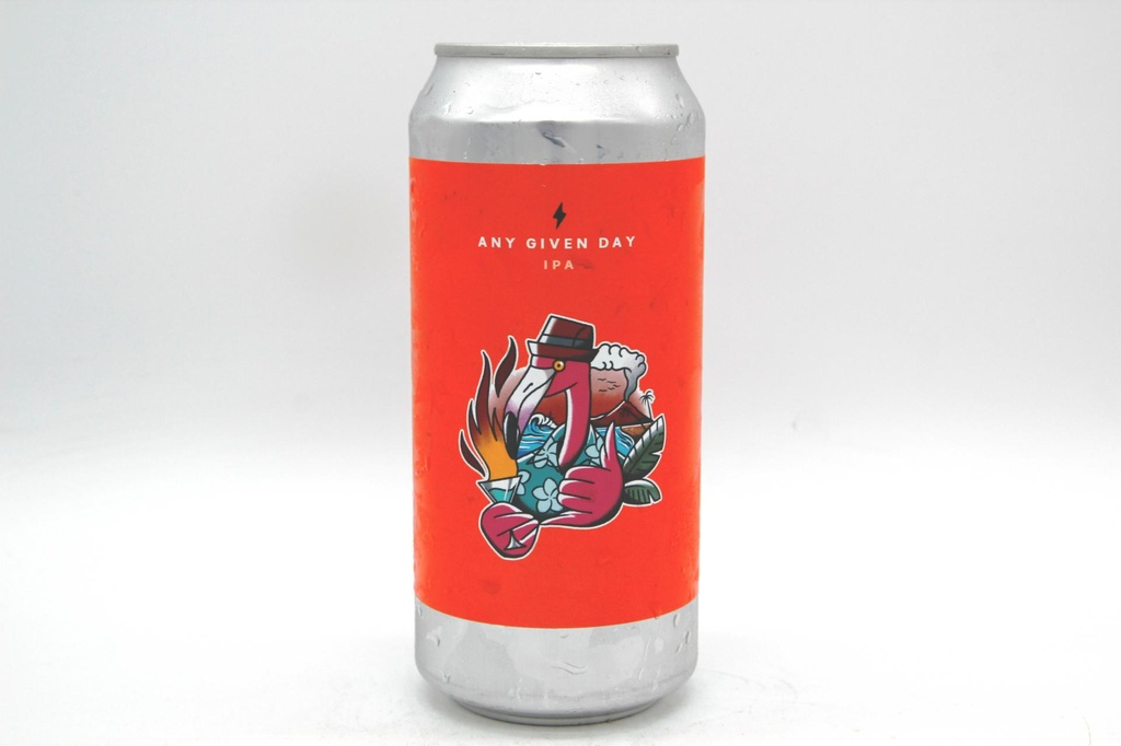 GARAGE BEER CO - Any Given Day
